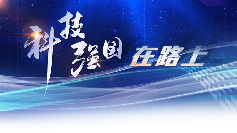 数据安全备份策略：如何构建稳固的防线